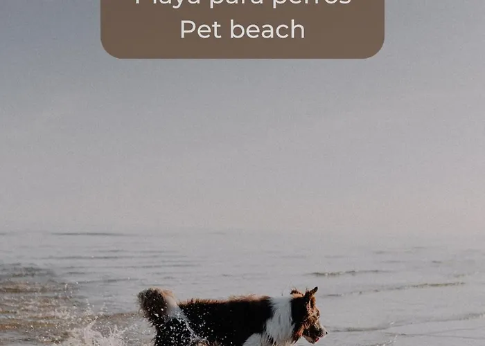 Canelita Con Piscina, Soleada Terraza Amplia Wifi Y Parking 公寓 科拉雷侯