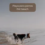 Canelita Con Piscina, Soleada Terraza Amplia Wifi Y Parking Appartement Corralejo